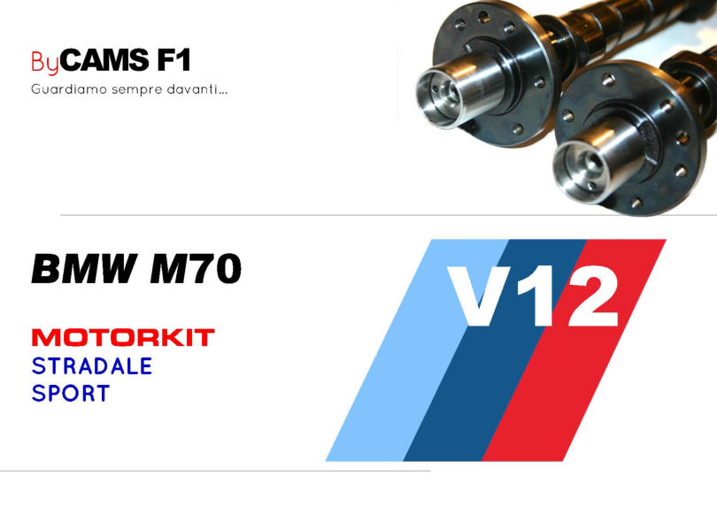 BMW M70  ALBERI A CAMME